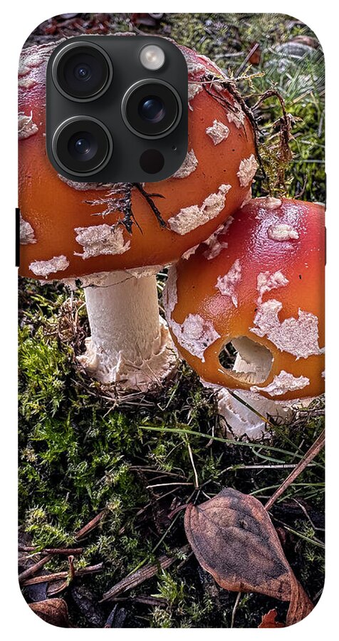 Mushrooms - Phone Case