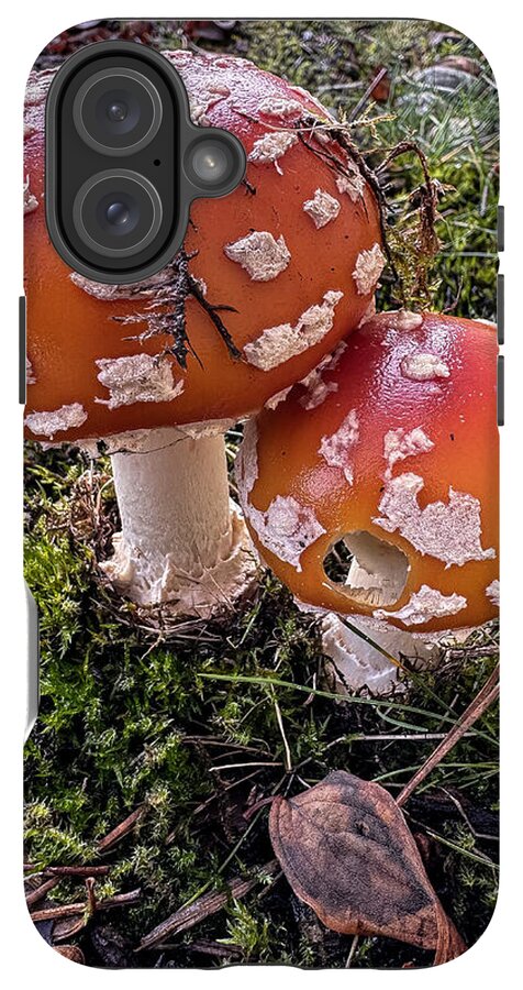 Mushrooms - Phone Case