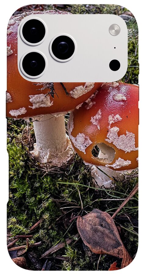 Mushrooms - Phone Case