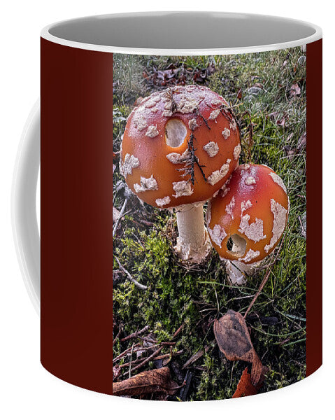 Mushrooms - Mug
