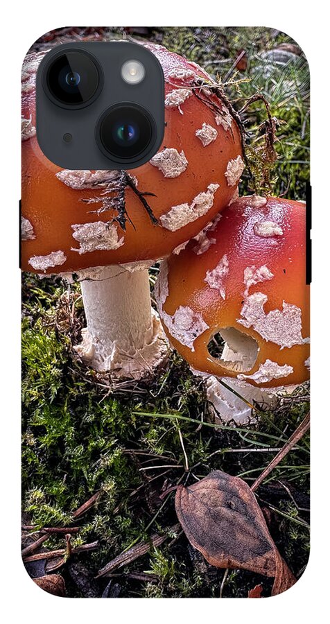 Mushrooms - Phone Case