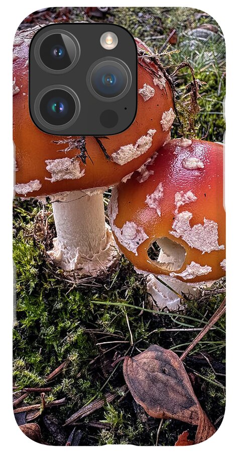 Mushrooms - Phone Case