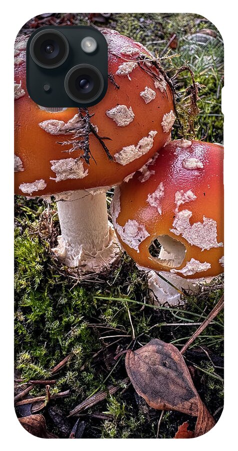 Mushrooms - Phone Case