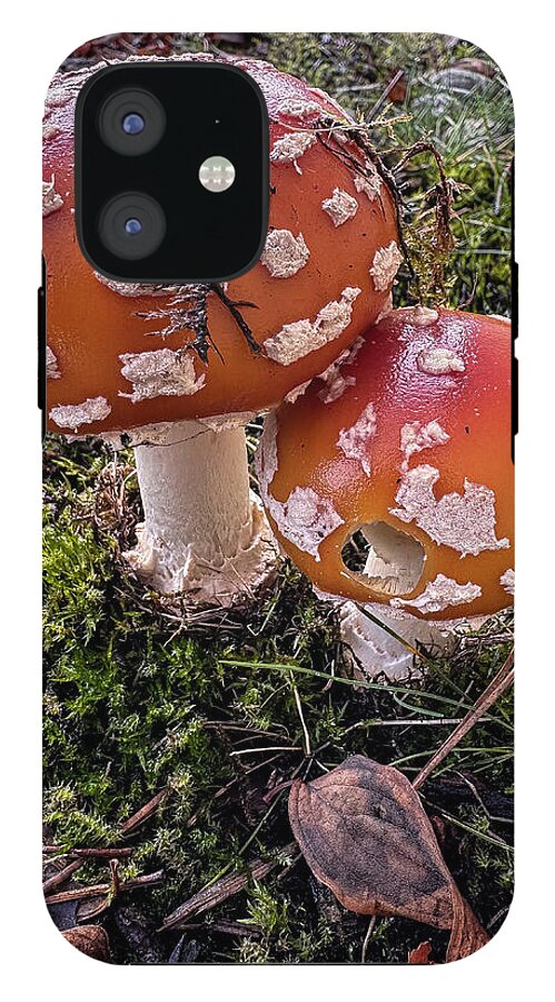Mushrooms - Phone Case