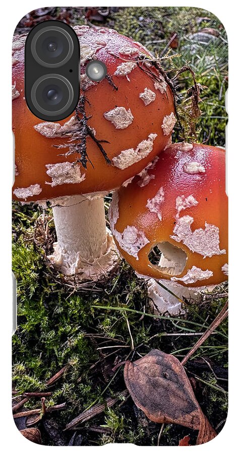 Mushrooms - Phone Case