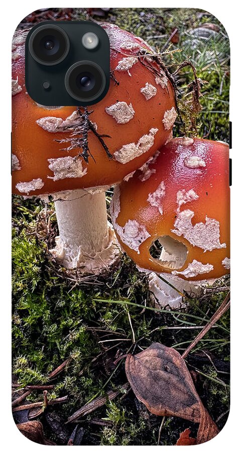 Mushrooms - Phone Case