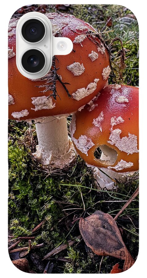 Mushrooms - Phone Case