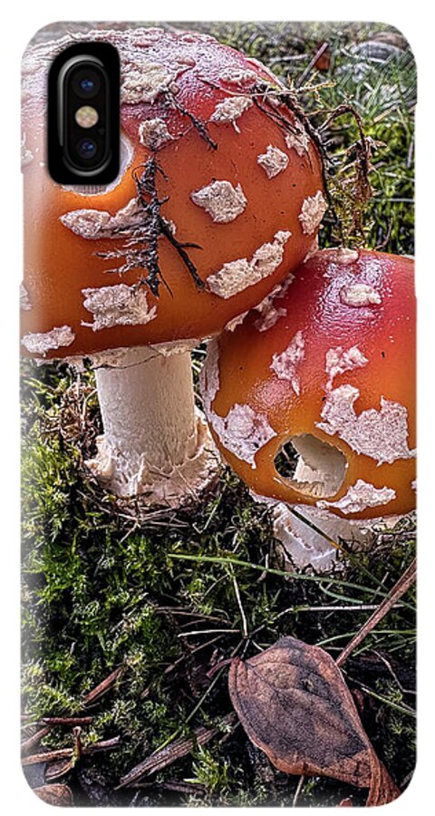 Mushrooms - Phone Case