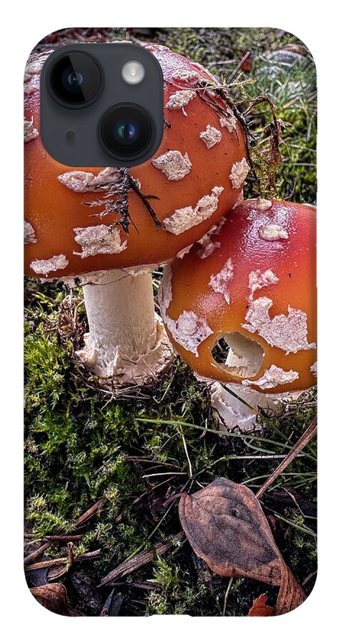 Mushrooms - Phone Case