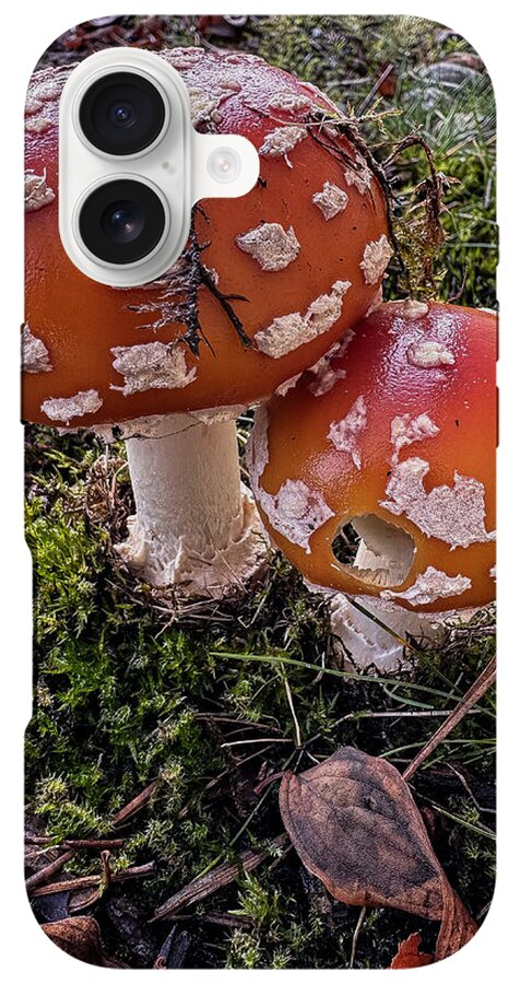 Mushrooms - Phone Case