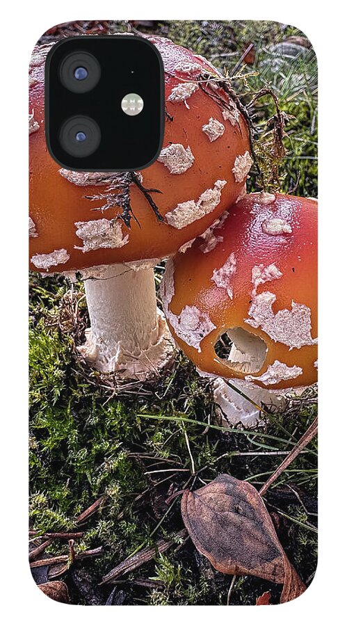 Mushrooms - Phone Case