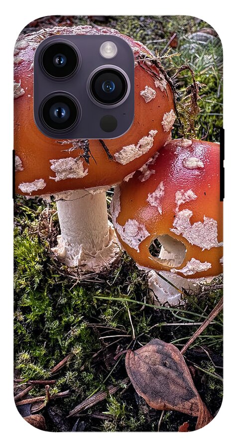 Mushrooms - Phone Case