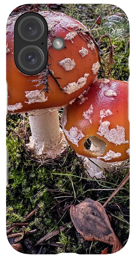 Mushrooms - Phone Case