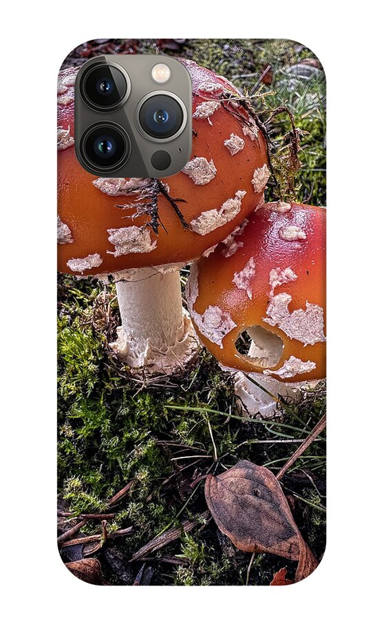 Mushrooms - Phone Case