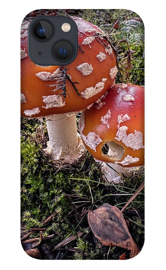 Mushrooms - Phone Case