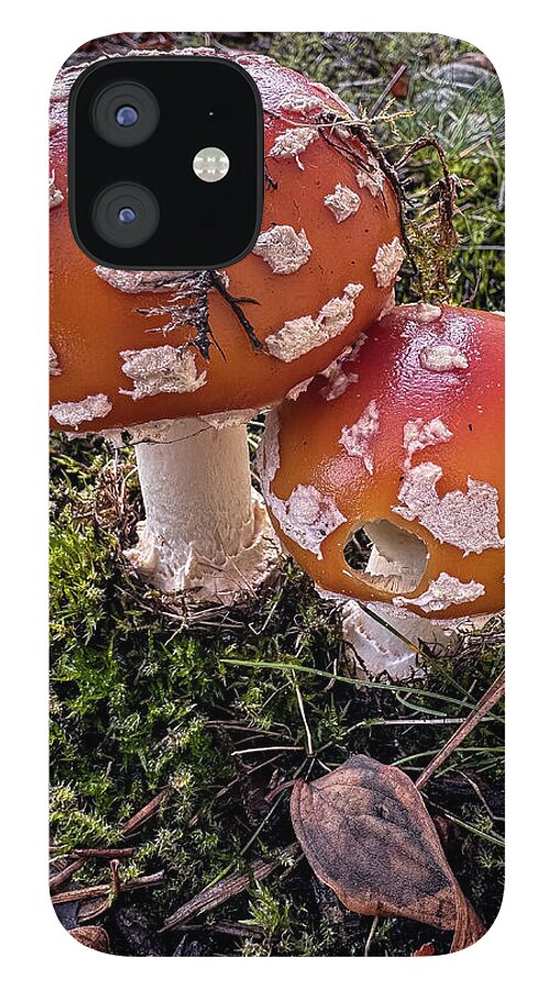 Mushrooms - Phone Case