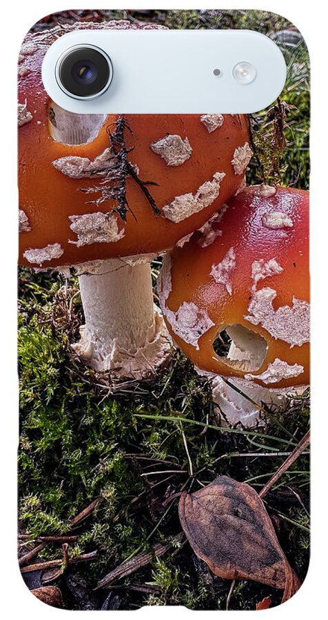 Mushrooms - Phone Case
