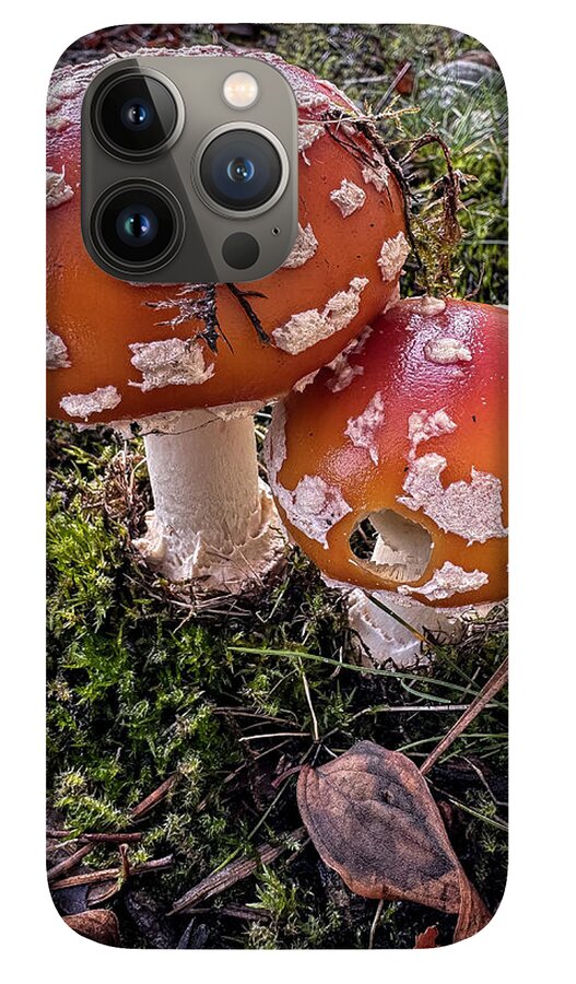 Mushrooms - Phone Case