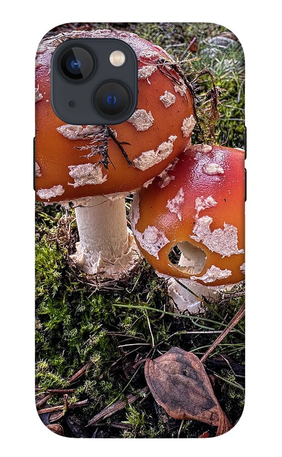 Mushrooms - Phone Case