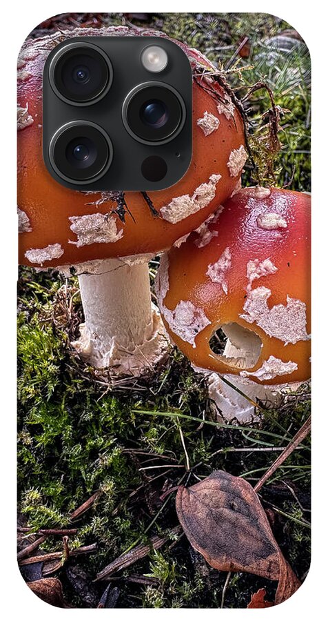 Mushrooms - Phone Case
