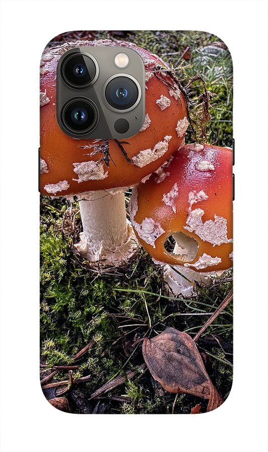 Mushrooms - Phone Case