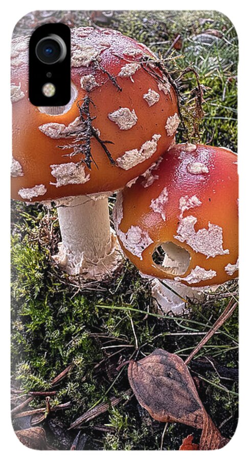 Mushrooms - Phone Case