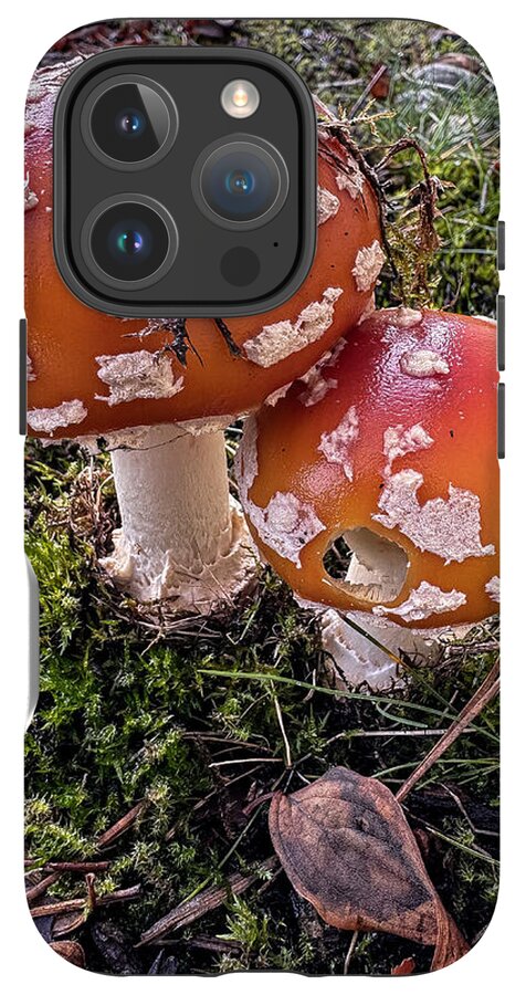 Mushrooms - Phone Case