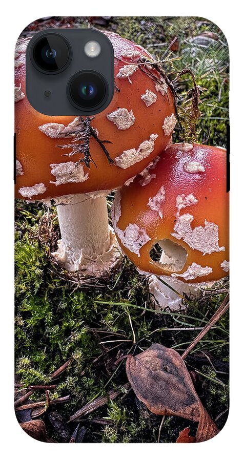 Mushrooms - Phone Case