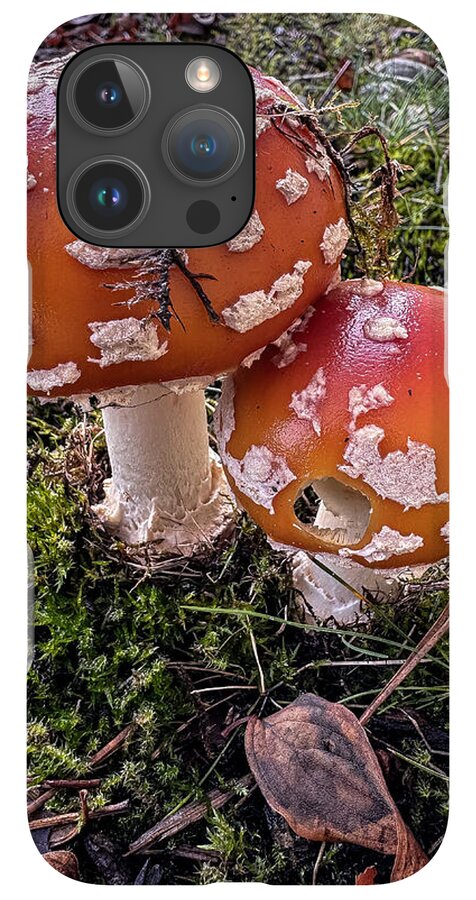 Mushrooms - Phone Case