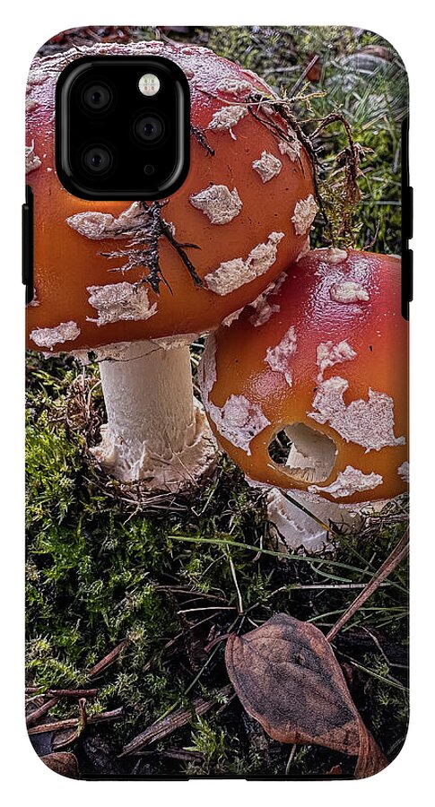 Mushrooms - Phone Case