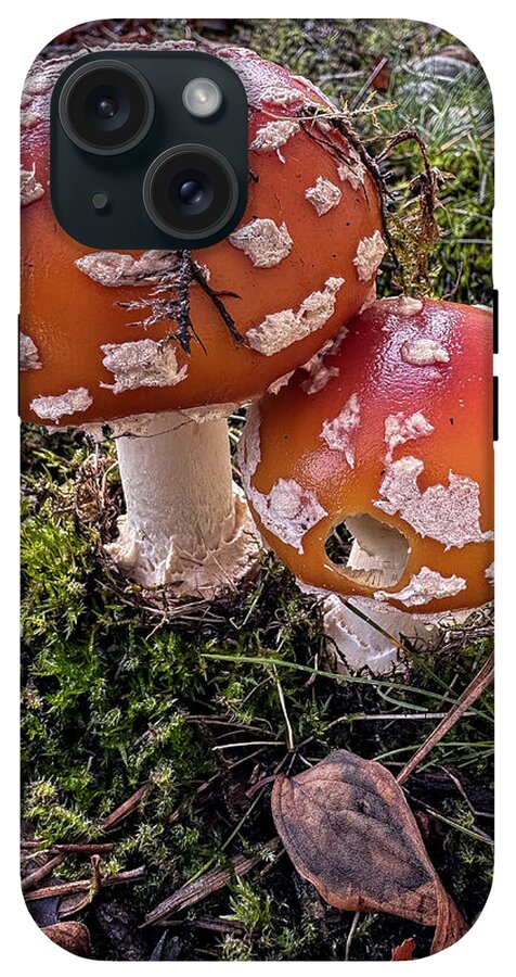Mushrooms - Phone Case