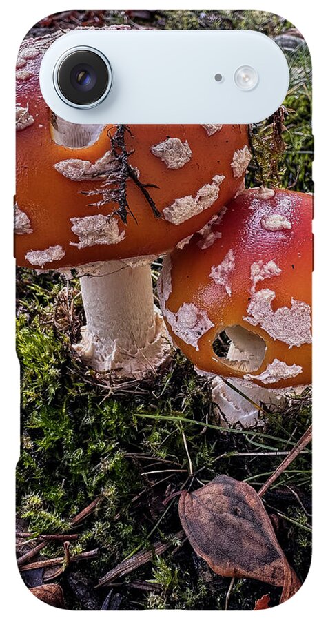 Mushrooms - Phone Case