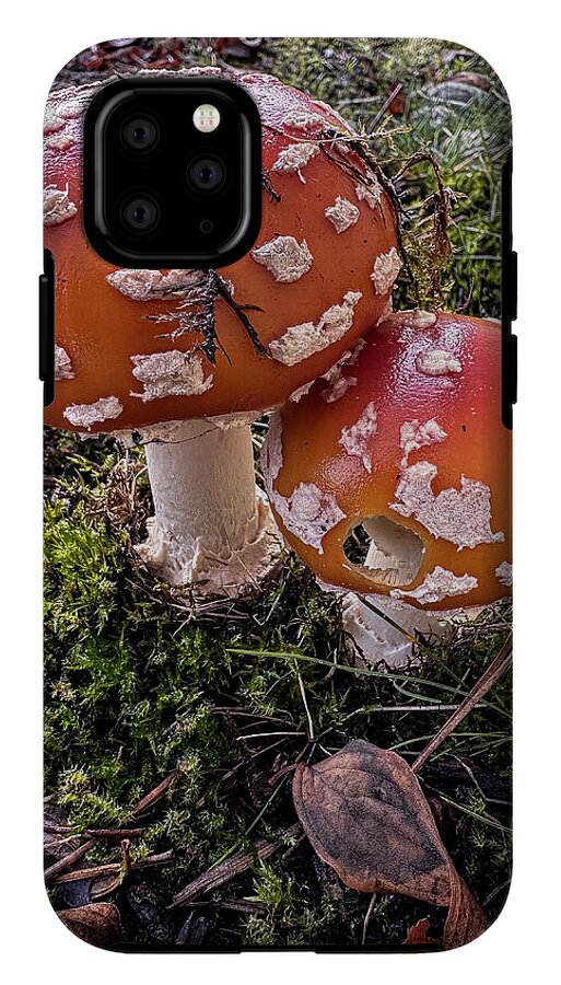 Mushrooms - Phone Case