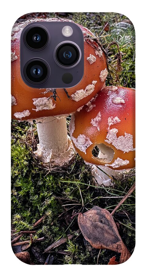 Mushrooms - Phone Case