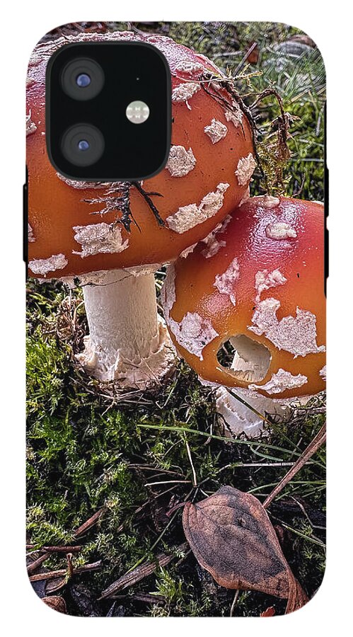 Mushrooms - Phone Case