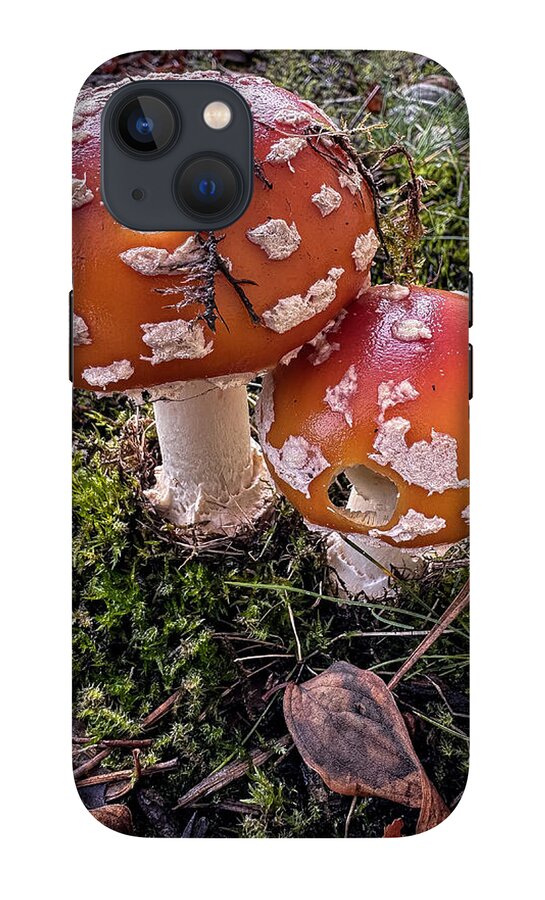 Mushrooms - Phone Case