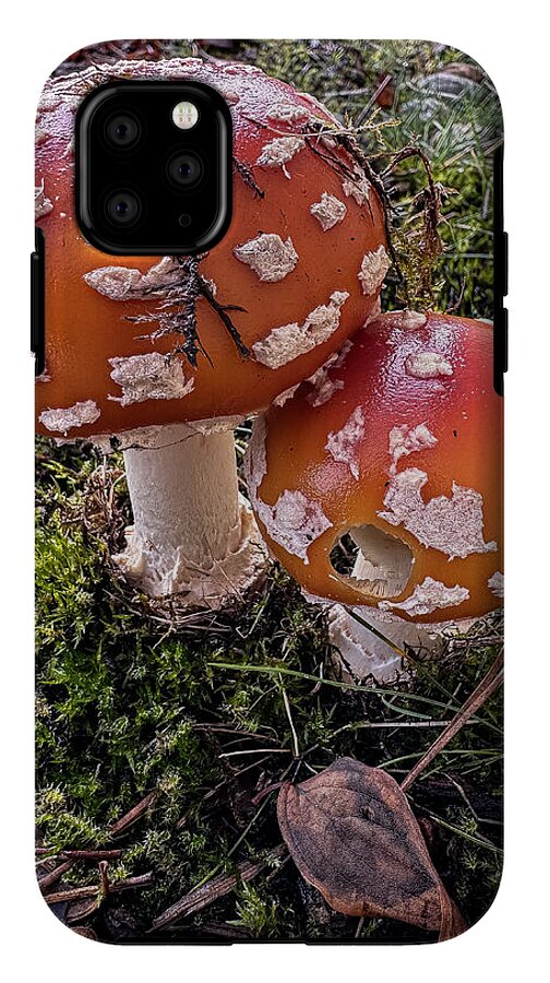 Mushrooms - Phone Case