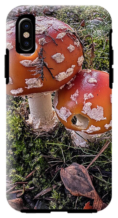 Mushrooms - Phone Case