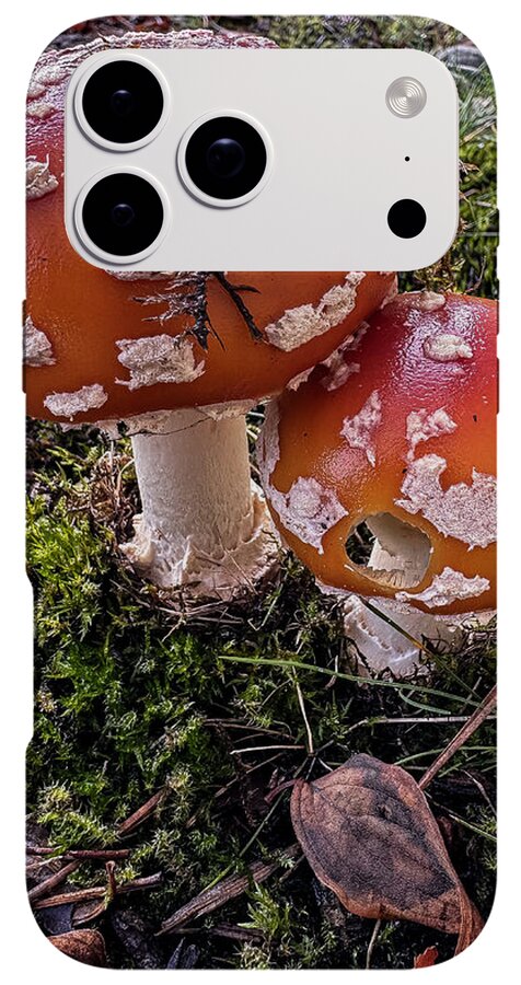 Mushrooms - Phone Case