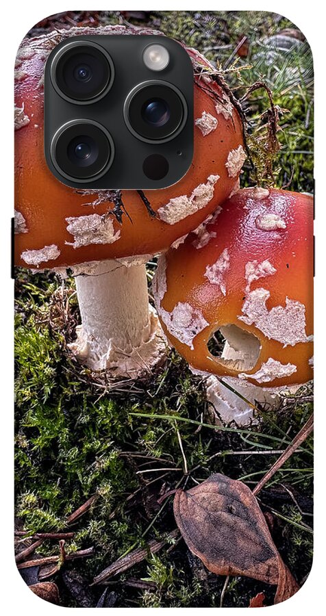 Mushrooms - Phone Case