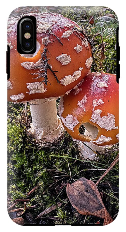 Mushrooms - Phone Case