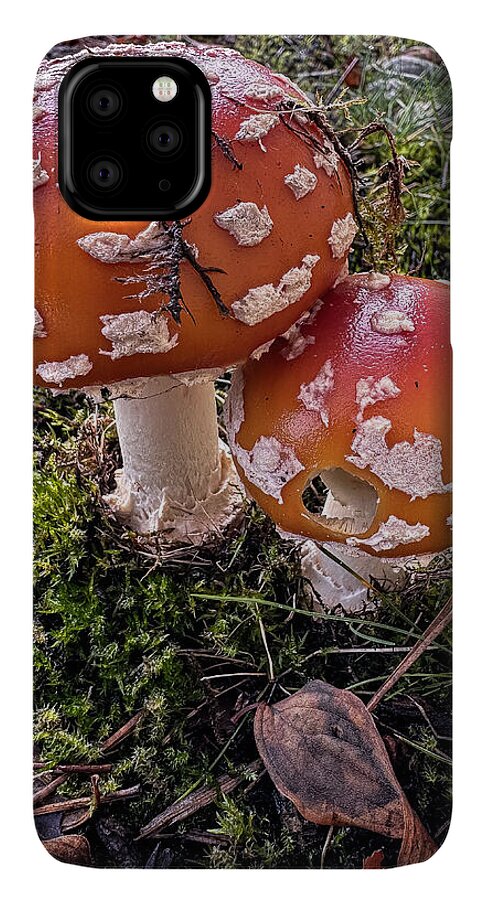 Mushrooms - Phone Case