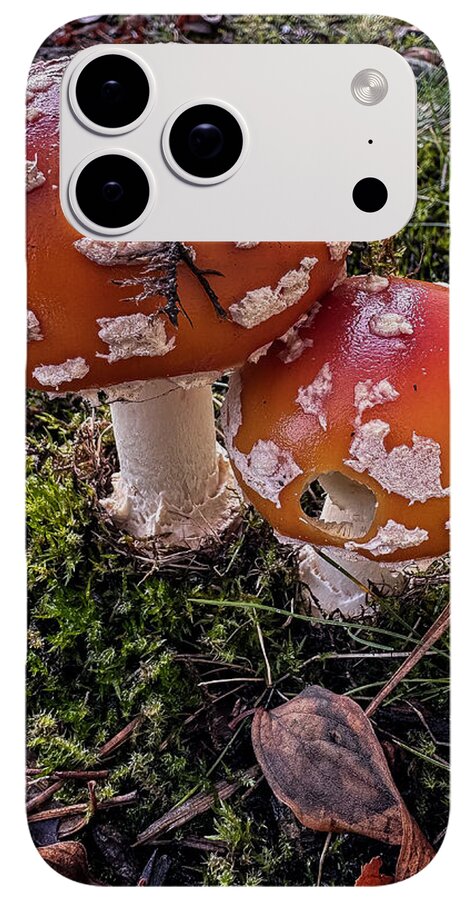 Mushrooms - Phone Case