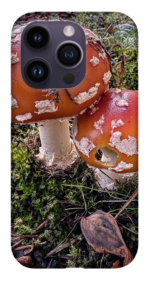 Mushrooms - Phone Case