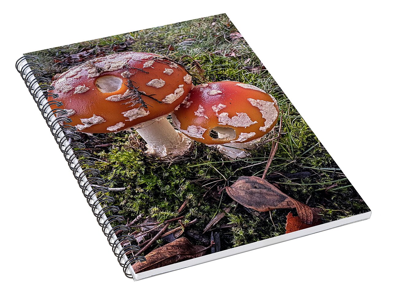 Mushrooms - Spiral Notebook
