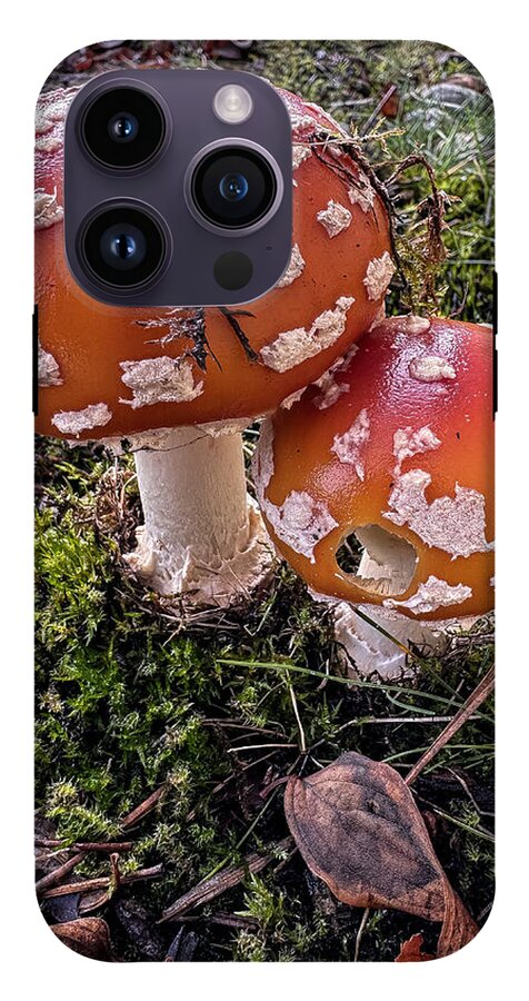 Mushrooms - Phone Case