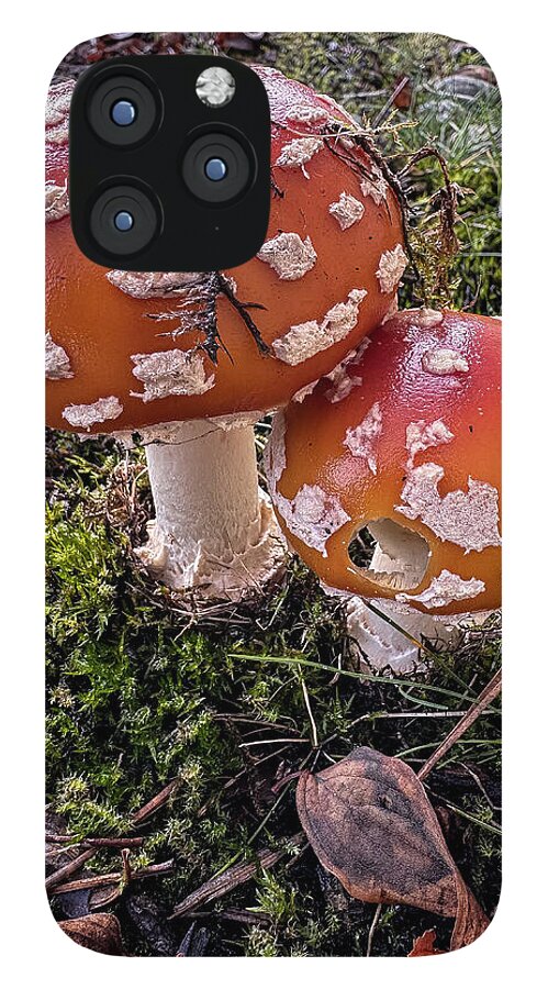 Mushrooms - Phone Case