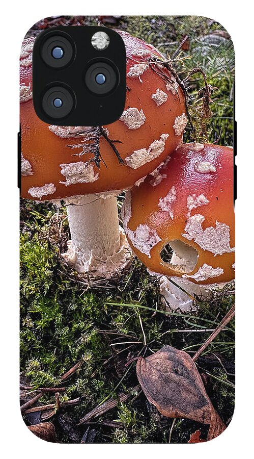 Mushrooms - Phone Case