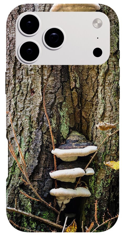 Mushrooms on the tree - Phone Case
