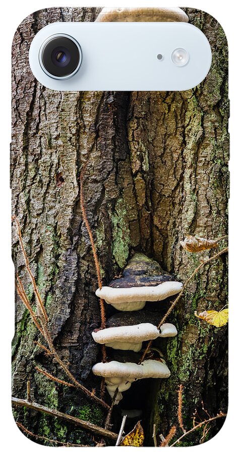 Mushrooms on the tree - Phone Case